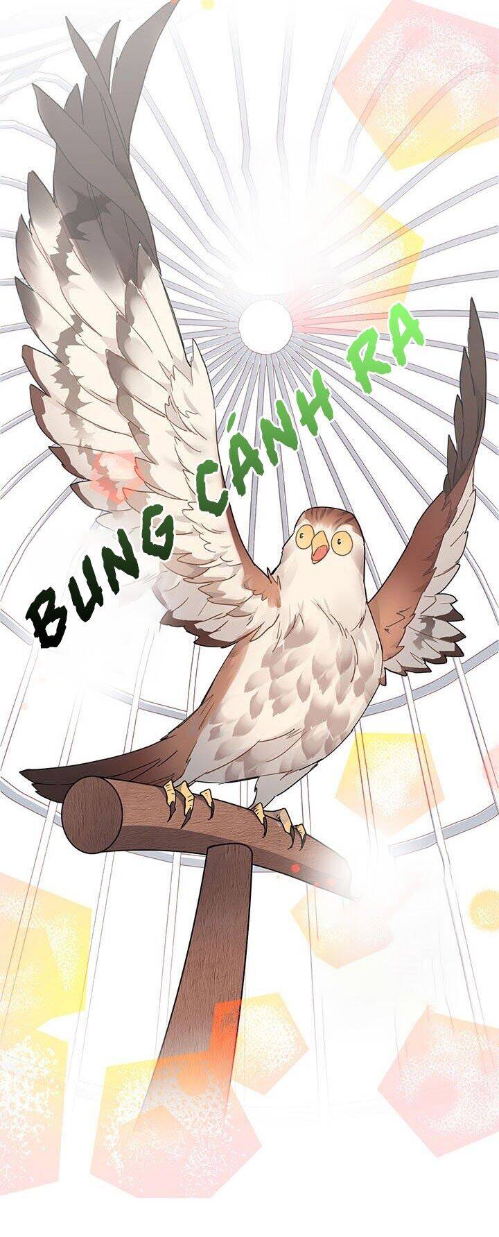 Công Chúa Của Loài Chim Chapter 1 - 62