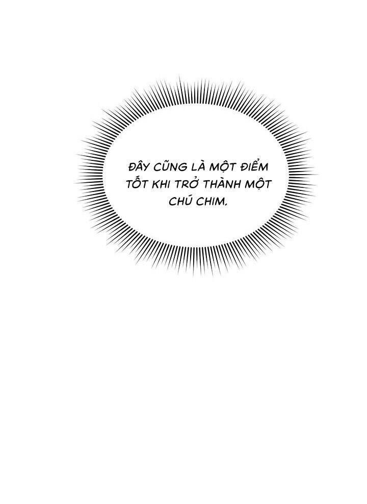 Công Chúa Của Loài Chim Chapter 11 - 22