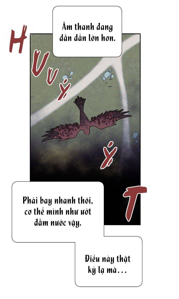 Công Chúa Của Loài Chim Chapter 11 - 37