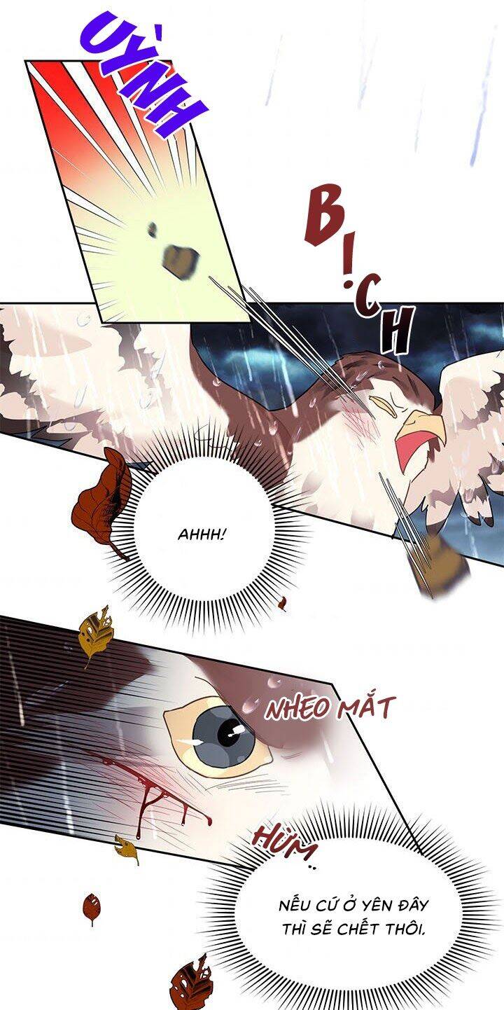 Công Chúa Của Loài Chim Chapter 11 - 47