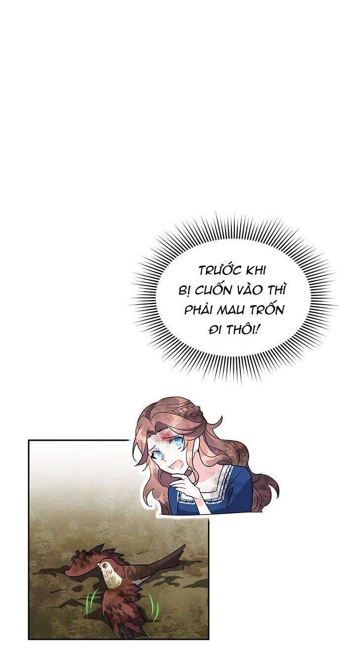 Công Chúa Của Loài Chim Chapter 12 - 12