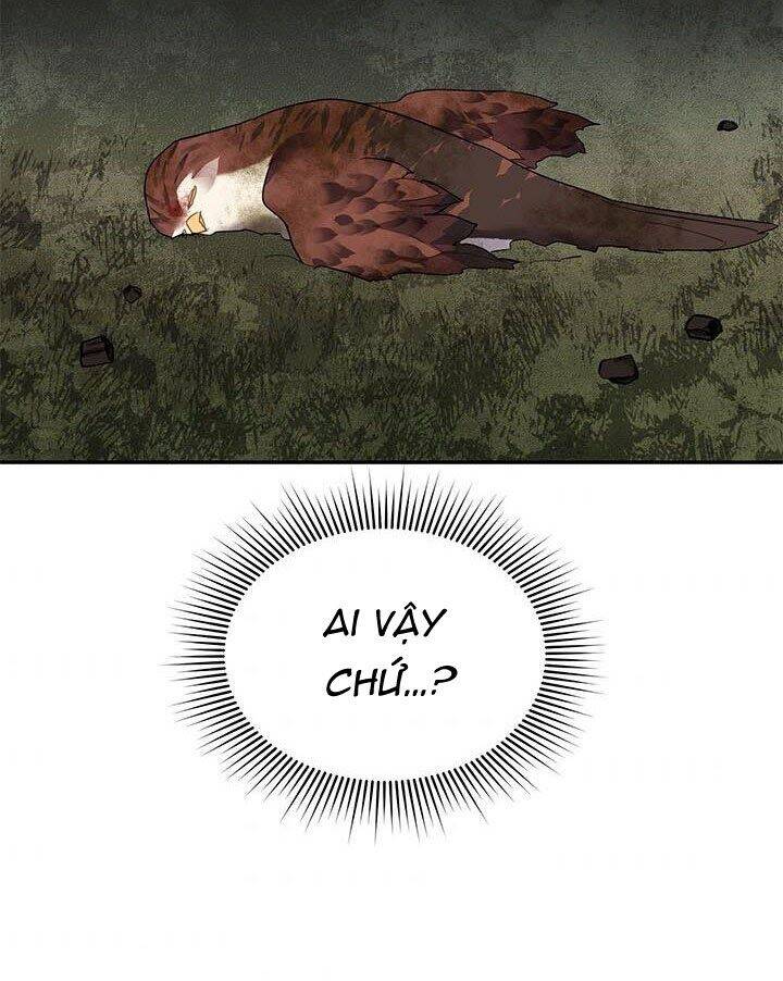 Công Chúa Của Loài Chim Chapter 12 - 4