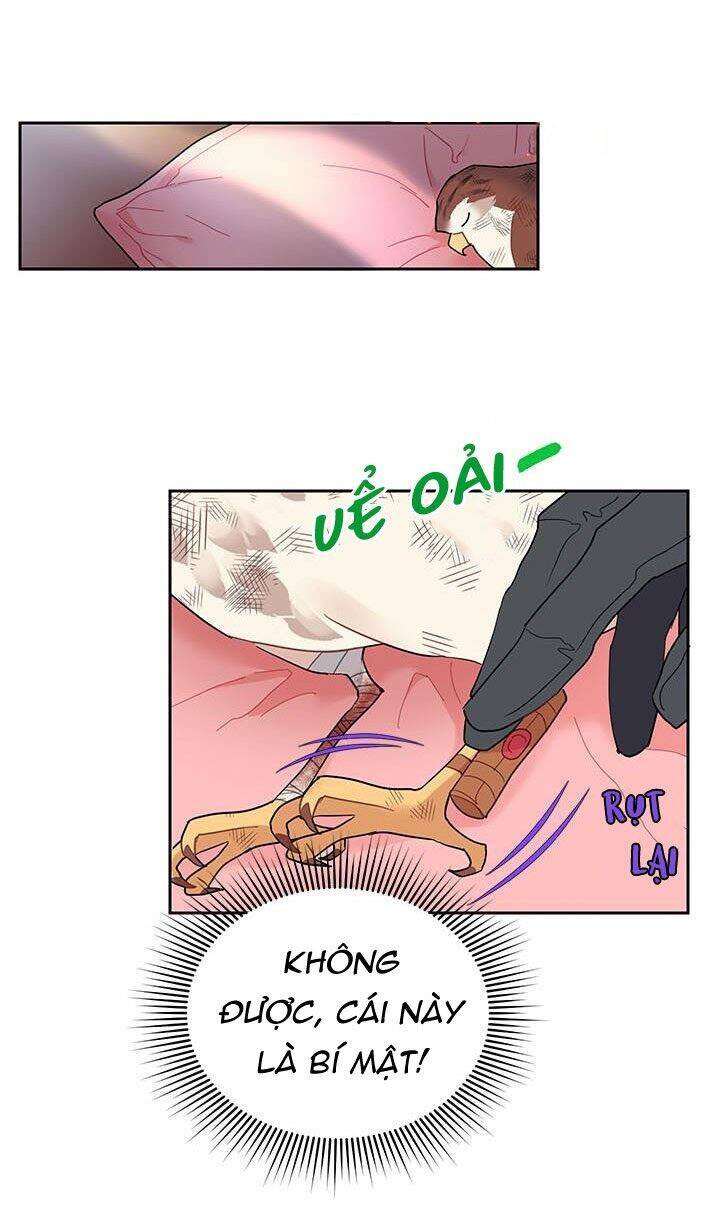 Công Chúa Của Loài Chim Chapter 12 - 38