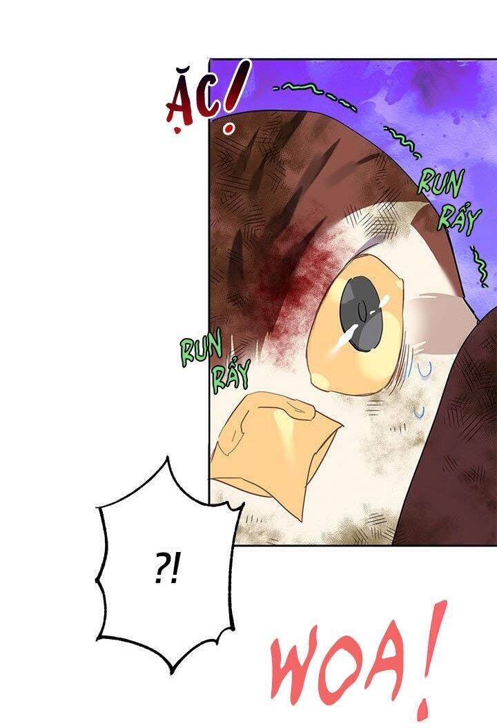 Công Chúa Của Loài Chim Chapter 12 - 9