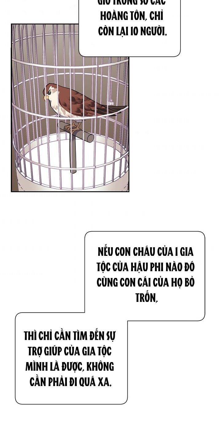 Công Chúa Của Loài Chim Chapter 13 - 45