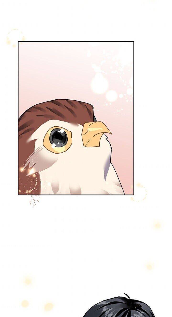 Công Chúa Của Loài Chim Chapter 13 - 60