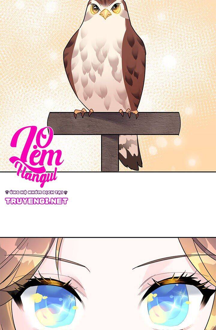 Công Chúa Của Loài Chim Chapter 14 - 3
