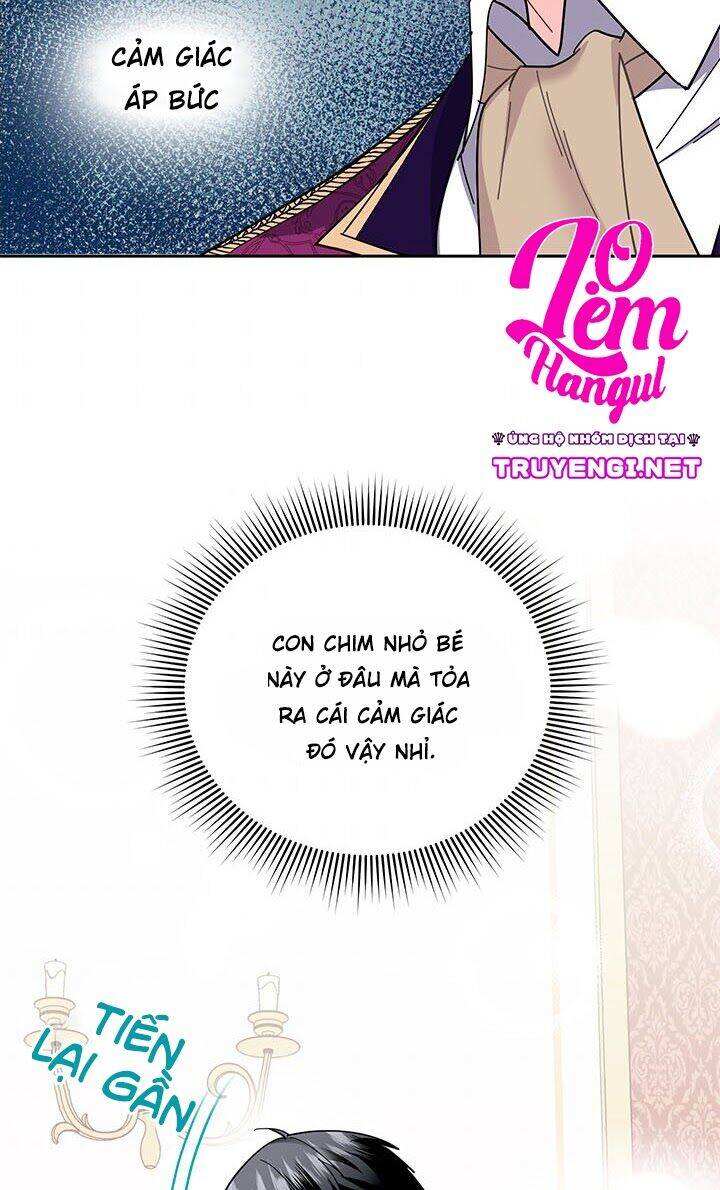 Công Chúa Của Loài Chim Chapter 14 - 5