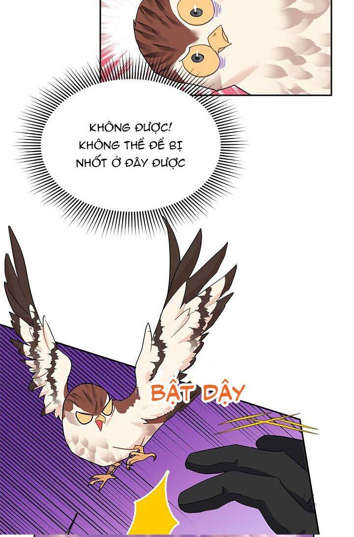 Công Chúa Của Loài Chim Chapter 15 - 38