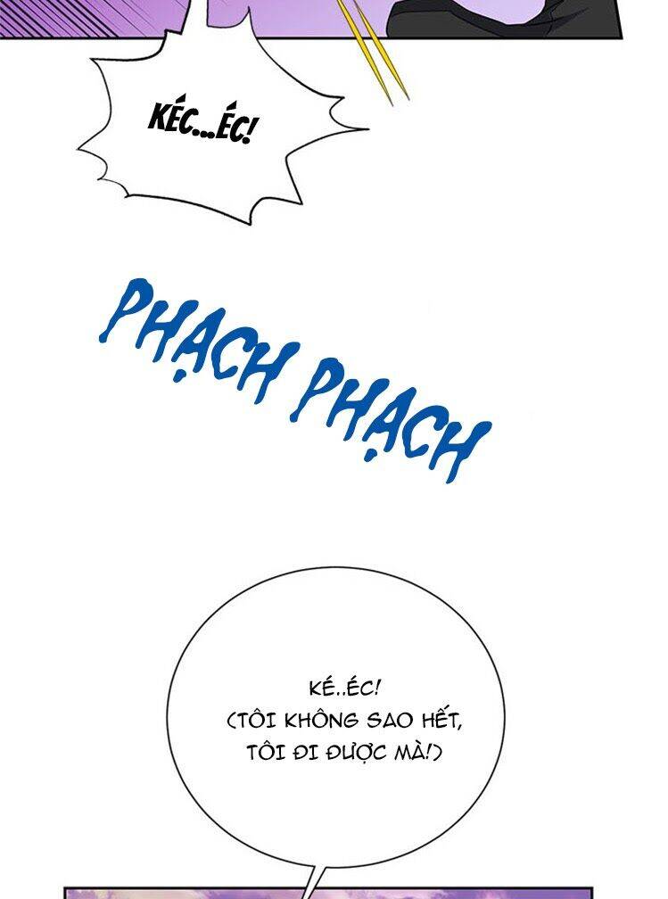 Công Chúa Của Loài Chim Chapter 15 - 39