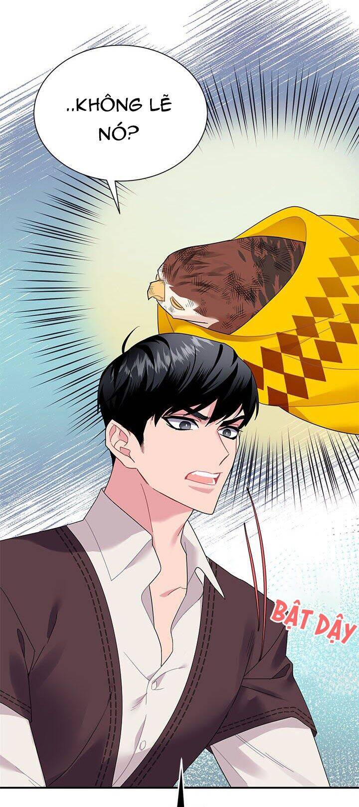 Công Chúa Của Loài Chim Chapter 18 - 19