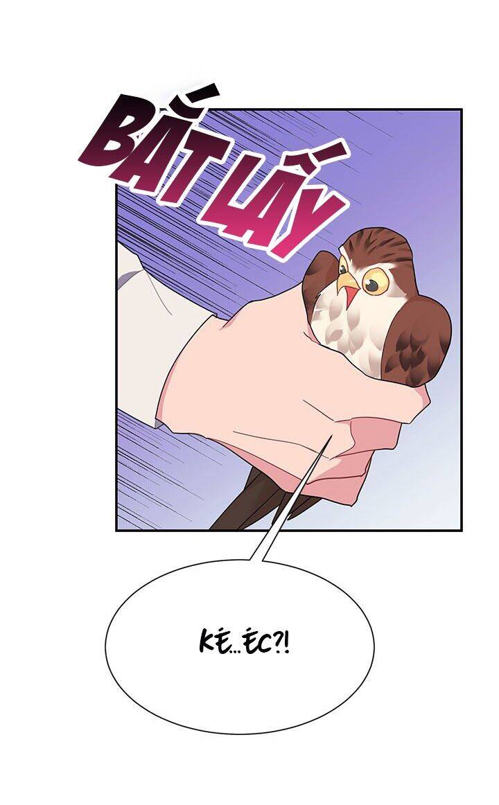 Công Chúa Của Loài Chim Chapter 18 - 51