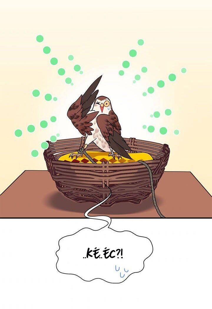 Công Chúa Của Loài Chim Chapter 18 - 53
