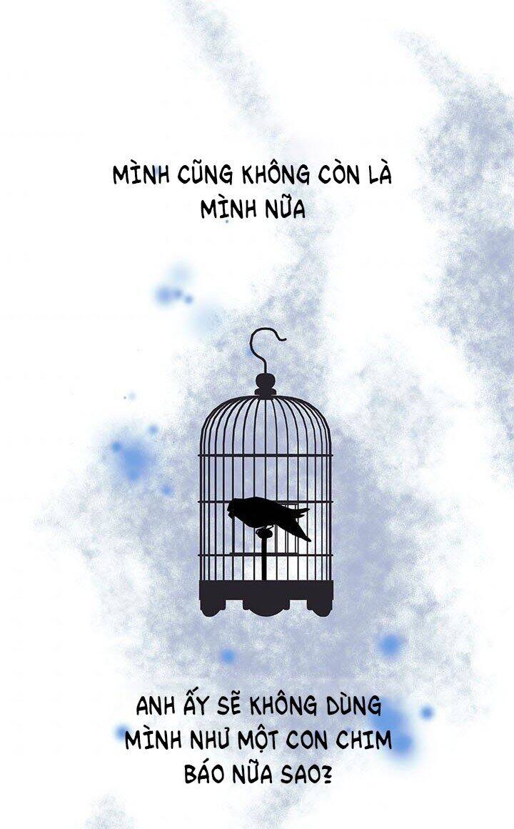 Công Chúa Của Loài Chim Chapter 18 - 63