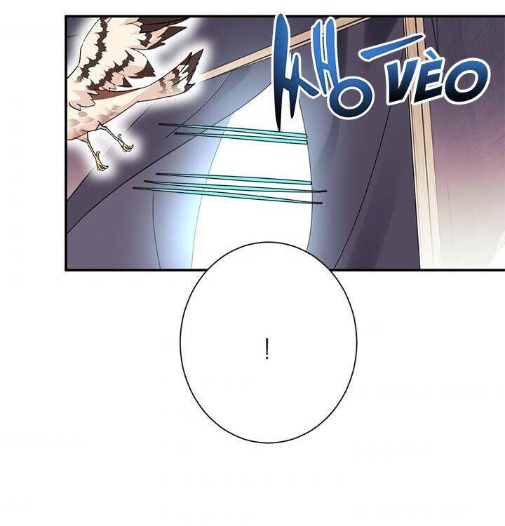 Công Chúa Của Loài Chim Chapter 19 - 69