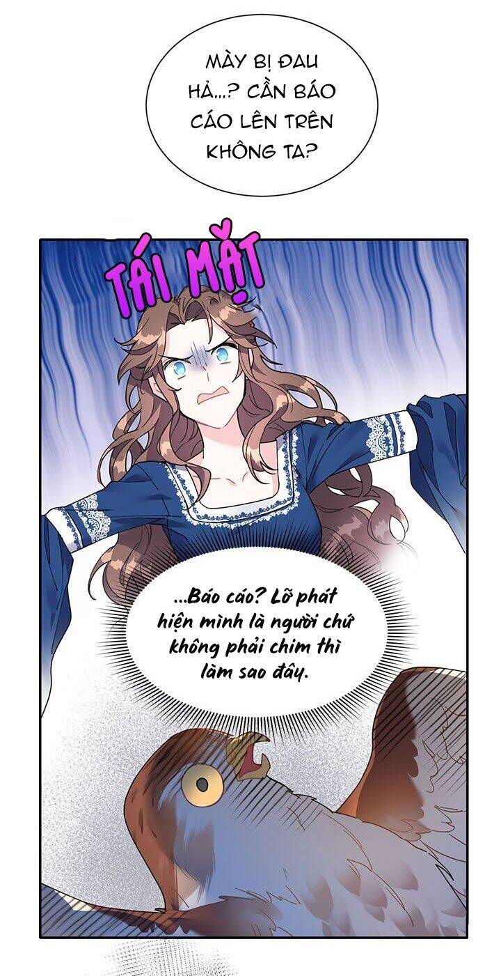 Công Chúa Của Loài Chim Chapter 2 - 15