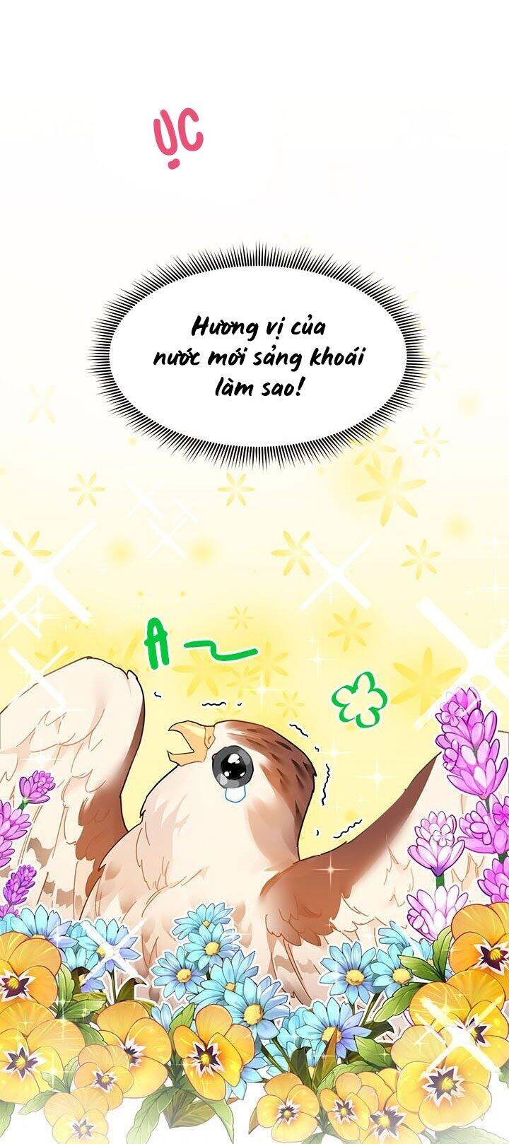 Công Chúa Của Loài Chim Chapter 2 - 3