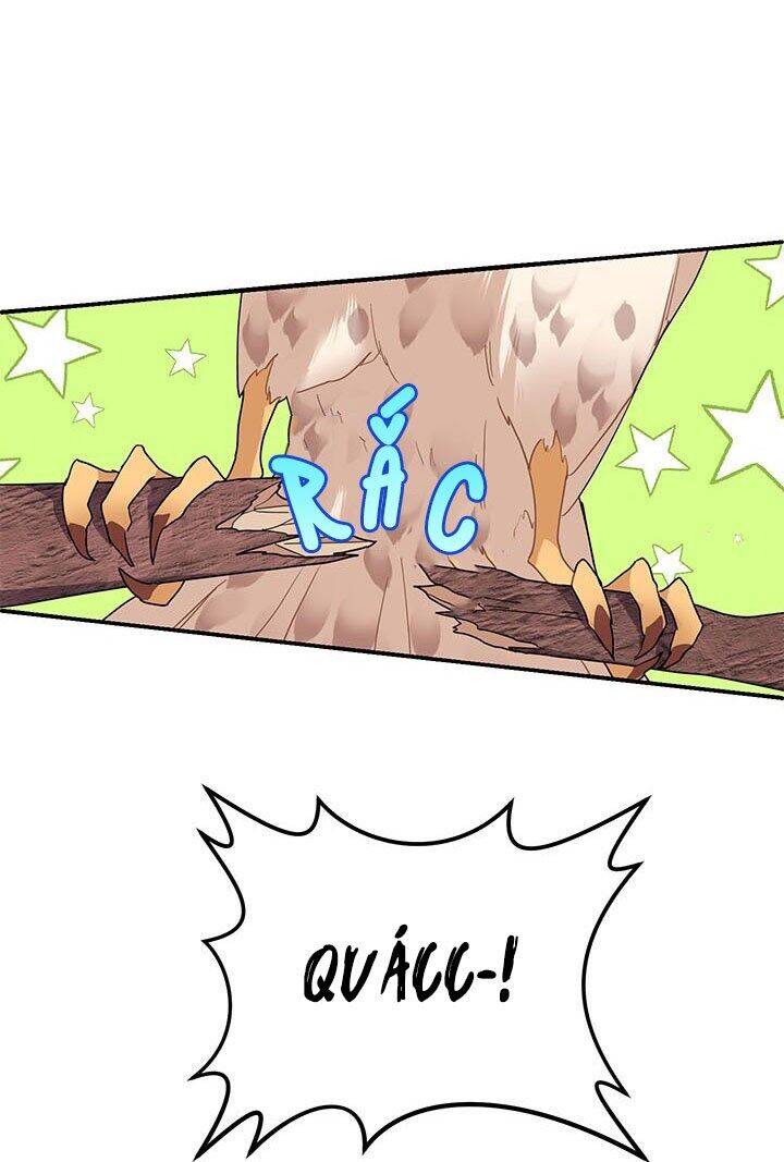 Công Chúa Của Loài Chim Chapter 2 - 30