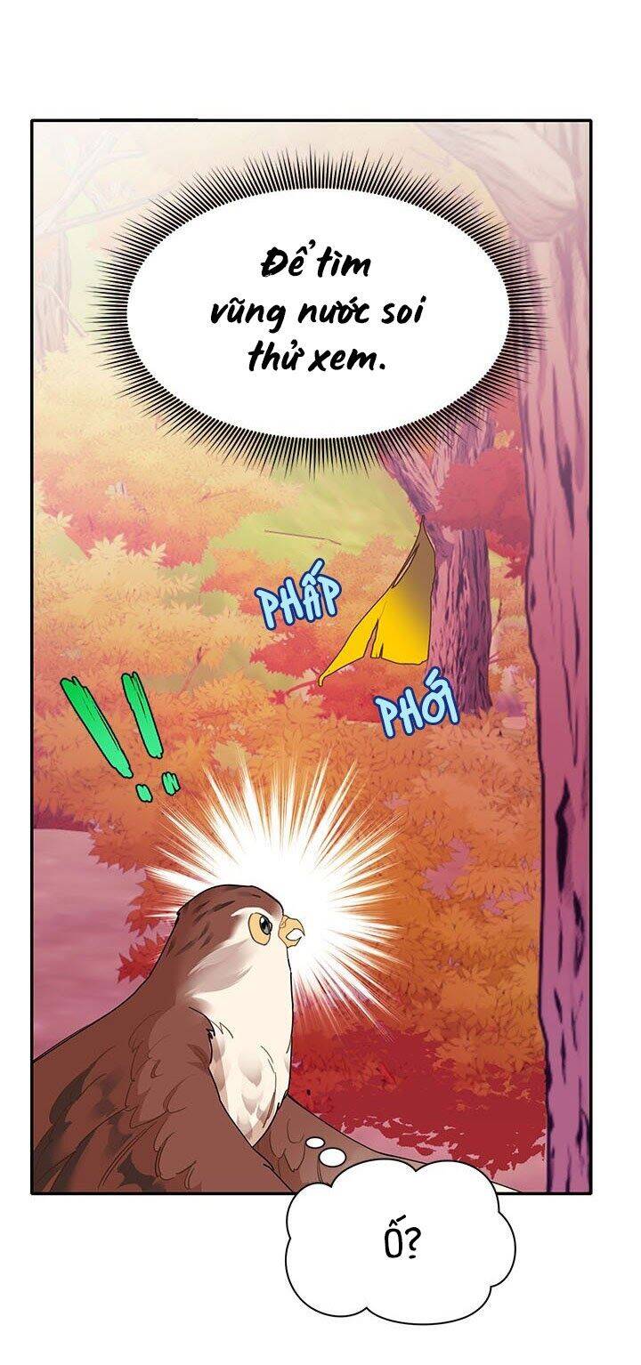 Công Chúa Của Loài Chim Chapter 2 - 37