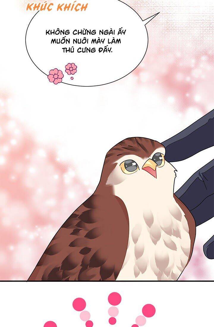 Công Chúa Của Loài Chim Chapter 20 - 15