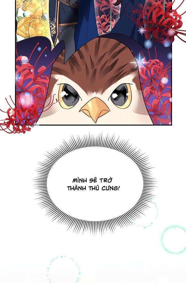 Công Chúa Của Loài Chim Chapter 20 - 31