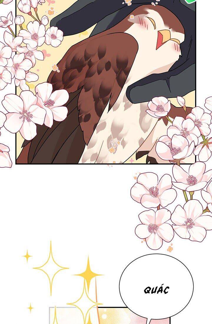 Công Chúa Của Loài Chim Chapter 20 - 40
