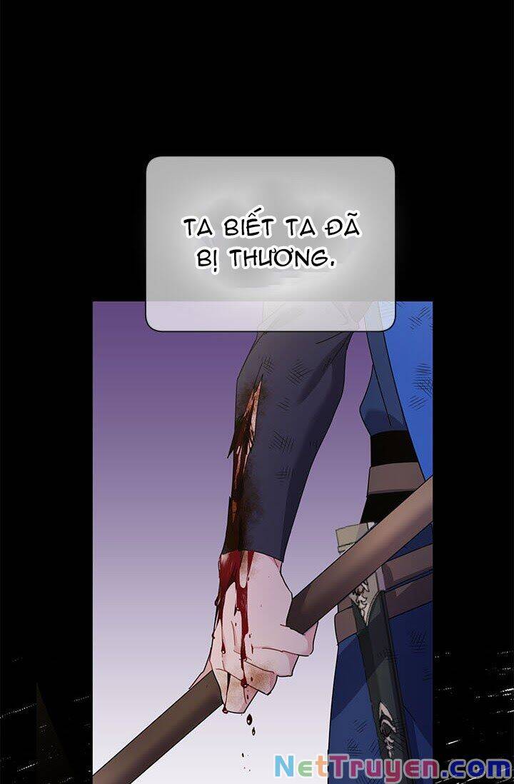 Công Chúa Của Loài Chim Chapter 21 - 40