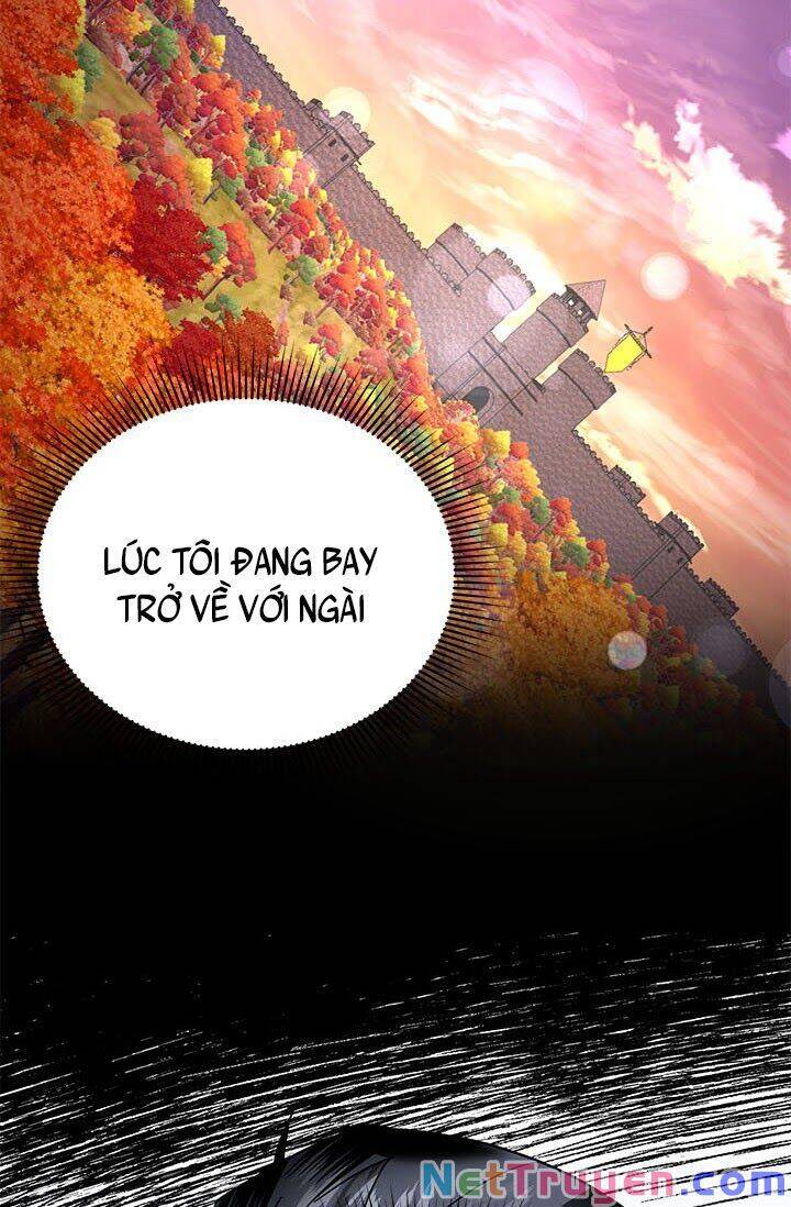 Công Chúa Của Loài Chim Chapter 21 - 46