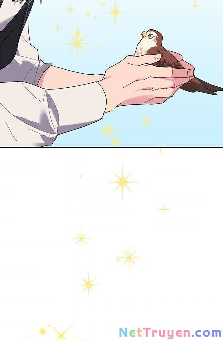Công Chúa Của Loài Chim Chapter 21 - 79