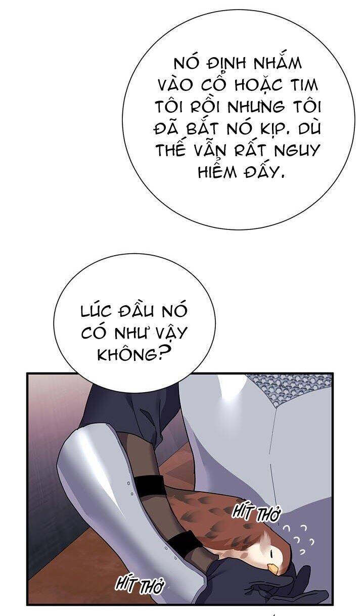 Công Chúa Của Loài Chim Chapter 3 - 38