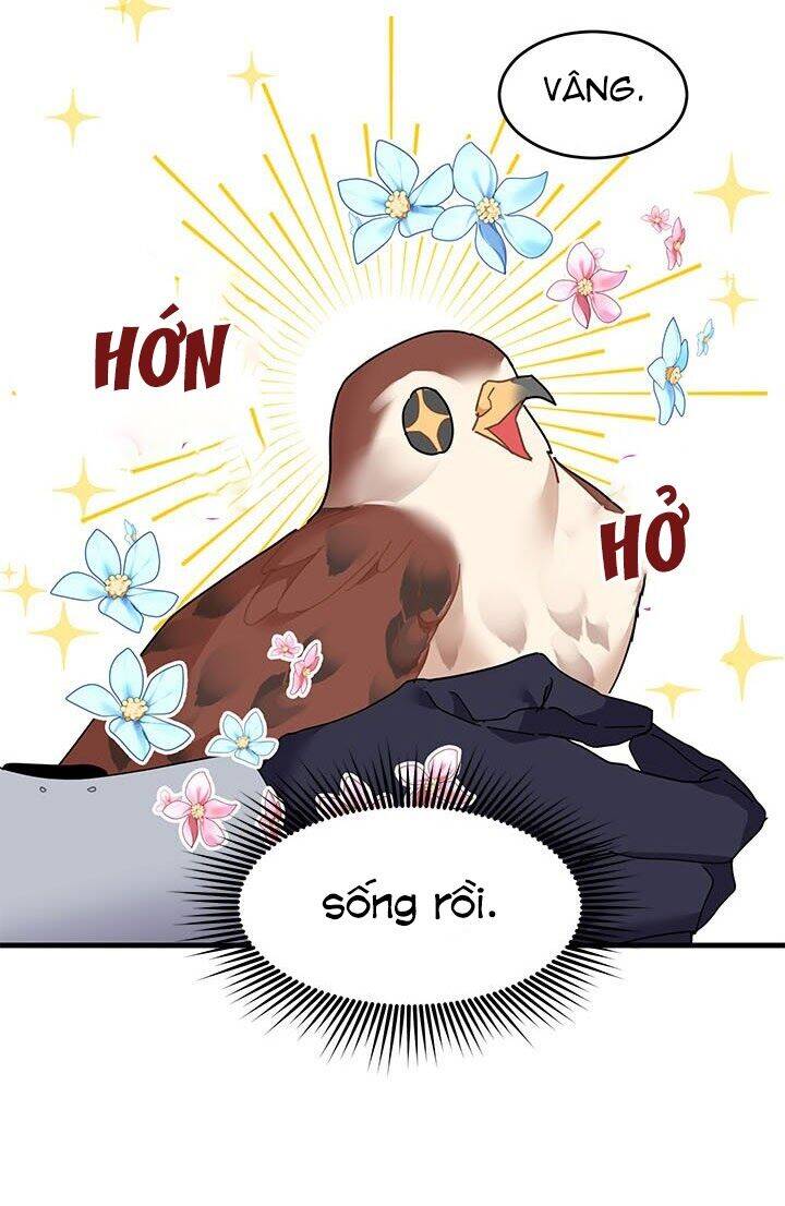 Công Chúa Của Loài Chim Chapter 3 - 48