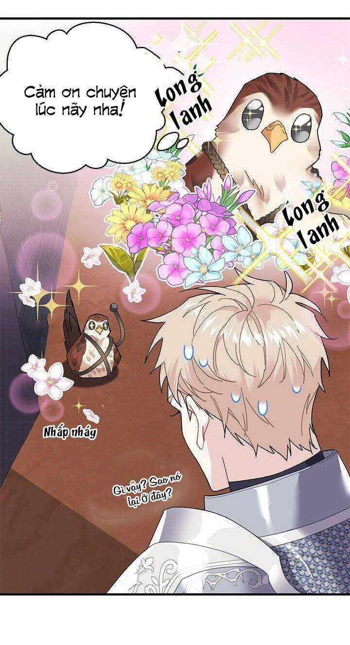 Công Chúa Của Loài Chim Chapter 3 - 60