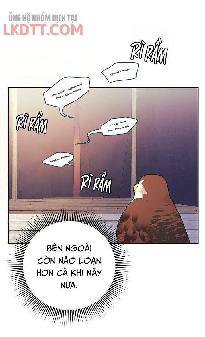 Công Chúa Của Loài Chim Chapter 33 - 41