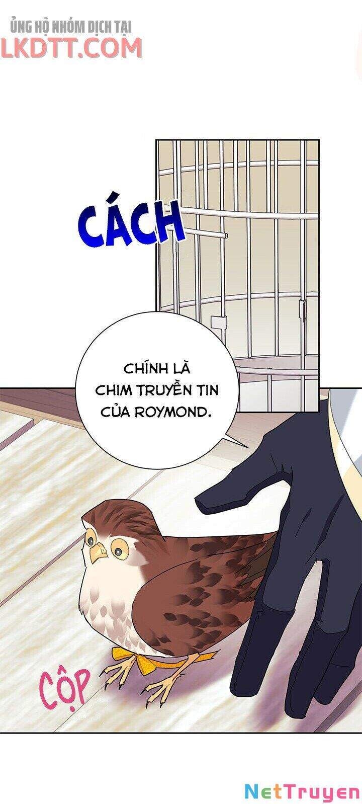 Công Chúa Của Loài Chim Chapter 34 - 31