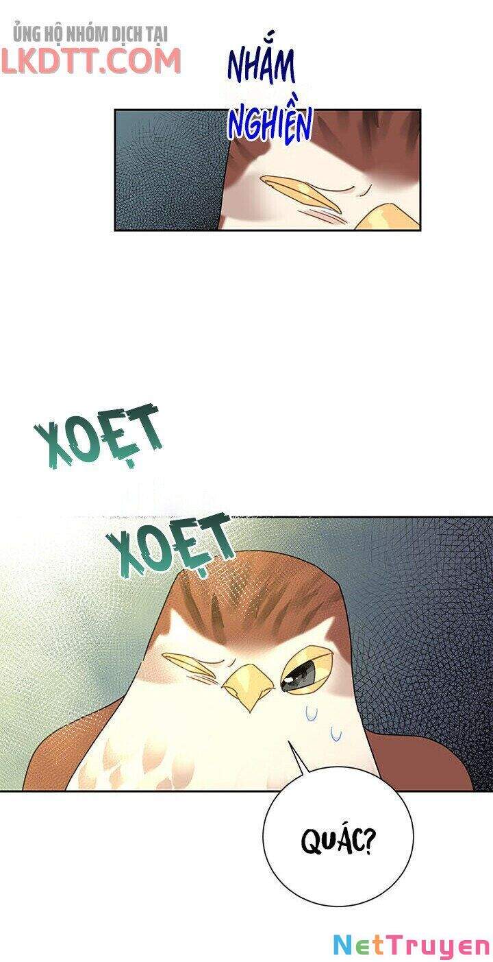 Công Chúa Của Loài Chim Chapter 34 - 45