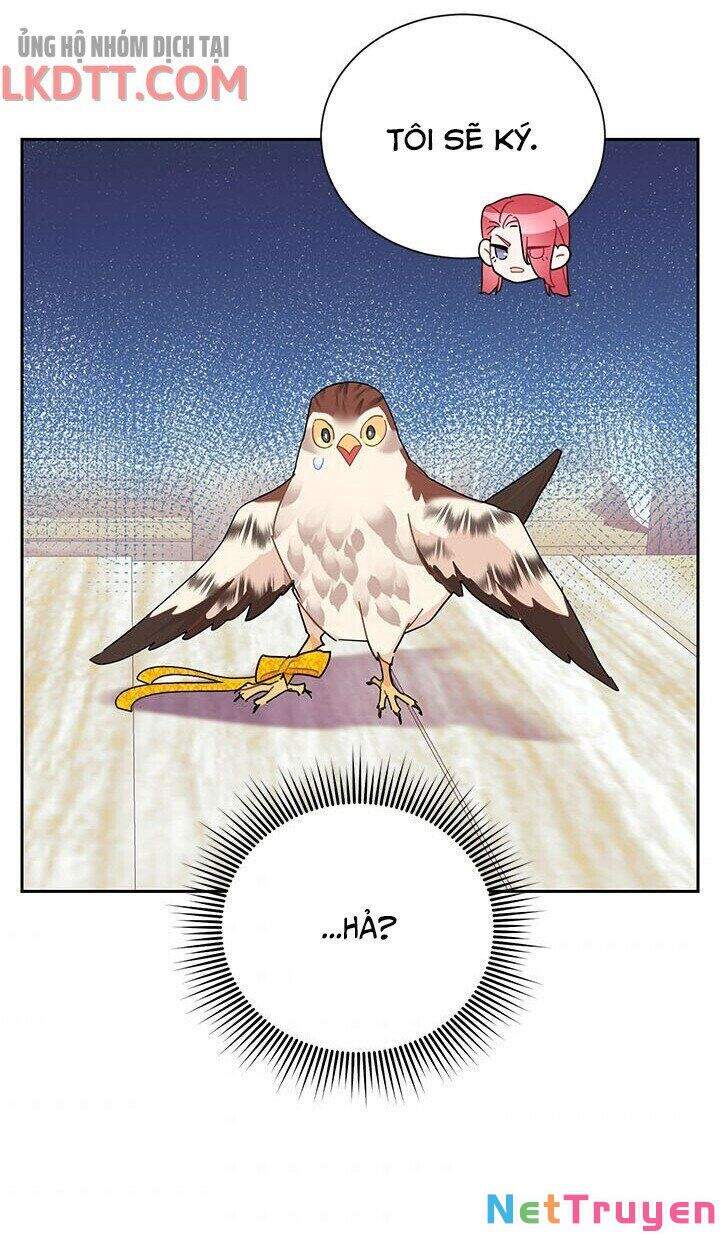 Công Chúa Của Loài Chim Chapter 34 - 51