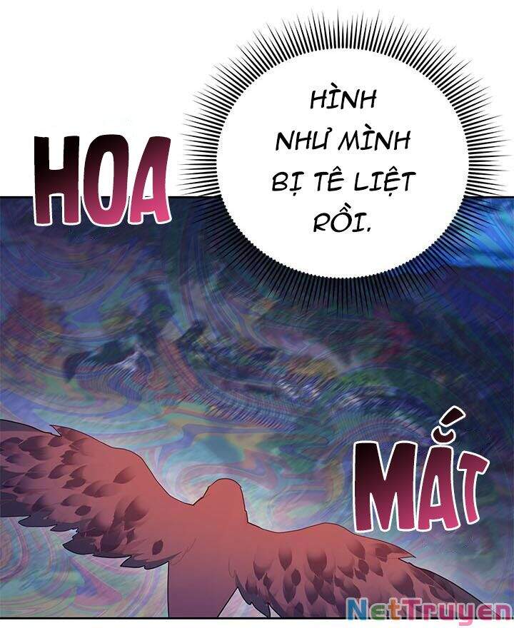 Công Chúa Của Loài Chim Chapter 38.1 - 11
