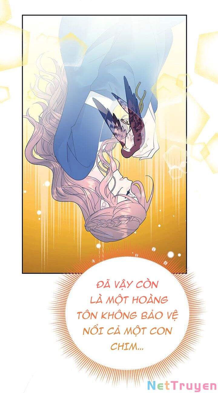 Công Chúa Của Loài Chim Chapter 38.1 - 15