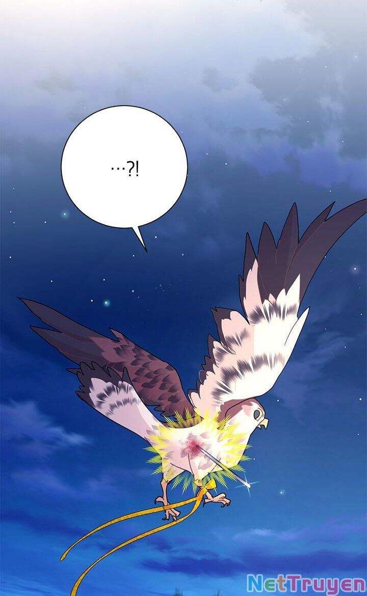Công Chúa Của Loài Chim Chapter 38.1 - 3