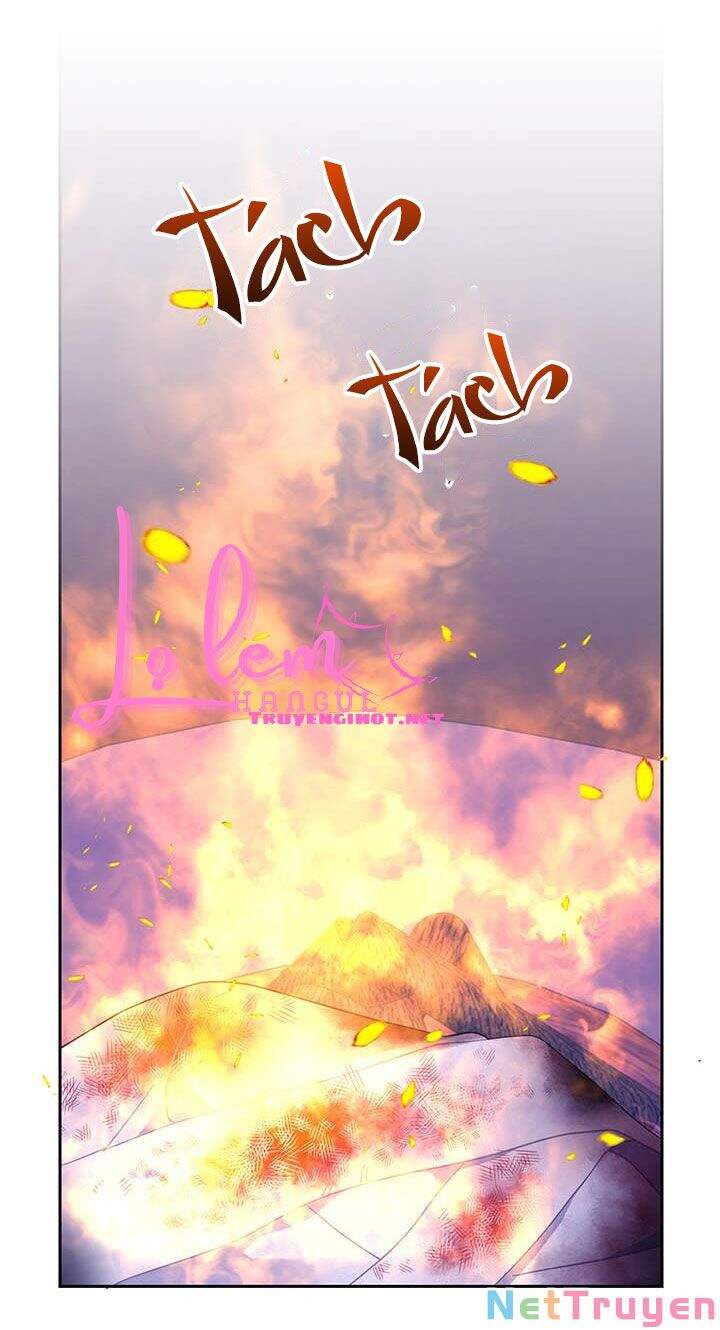 Công Chúa Của Loài Chim Chapter 38.1 - 22