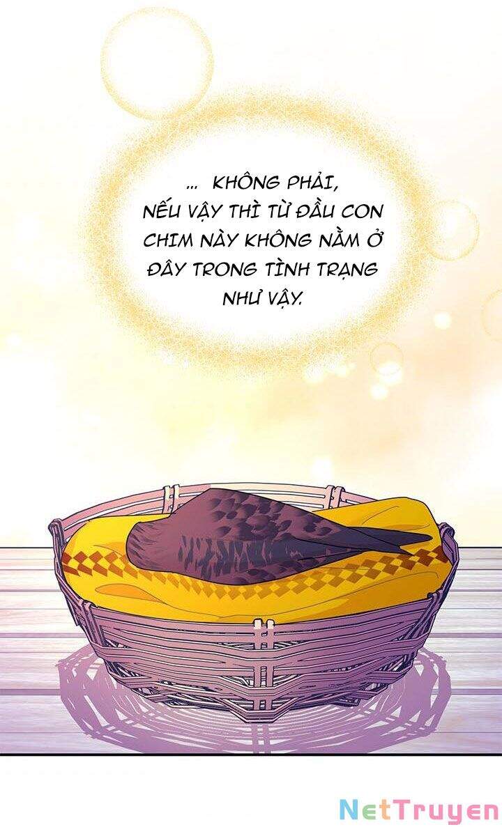 Công Chúa Của Loài Chim Chapter 38.2 - 13