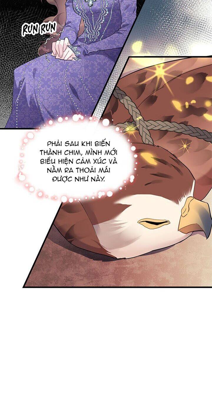 Công Chúa Của Loài Chim Chapter 4 - 23