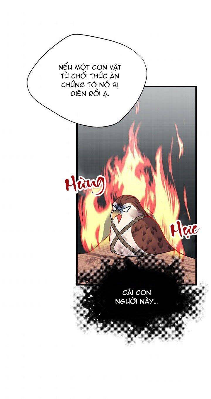 Công Chúa Của Loài Chim Chapter 4 - 40