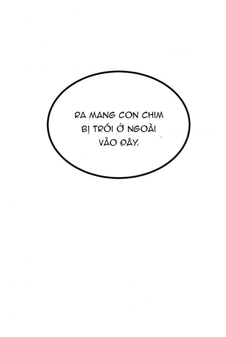 Công Chúa Của Loài Chim Chapter 4 - 50