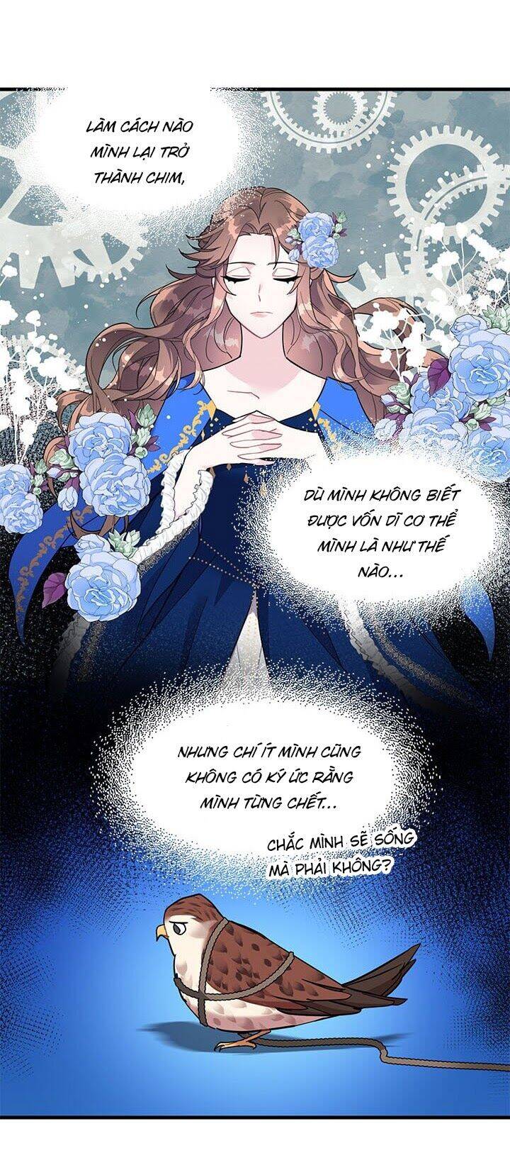 Công Chúa Của Loài Chim Chapter 4 - 53