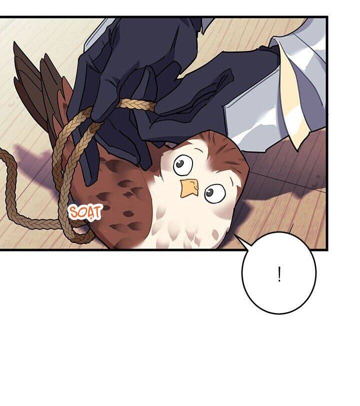 Công Chúa Của Loài Chim Chapter 4 - 75