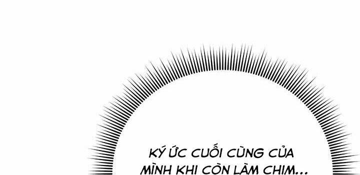 Công Chúa Của Loài Chim Chapter 44.1 - 11