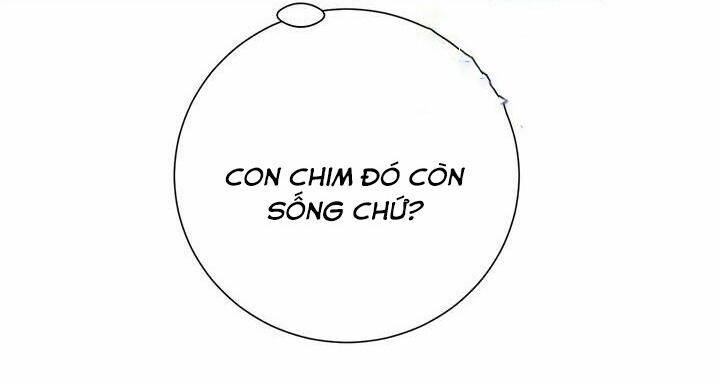 Công Chúa Của Loài Chim Chapter 44.1 - 13