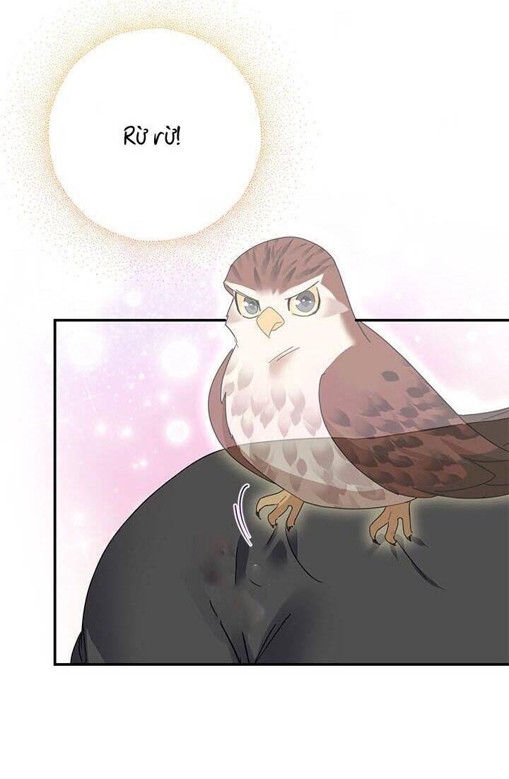 Công Chúa Của Loài Chim Chapter 44.2 - 8