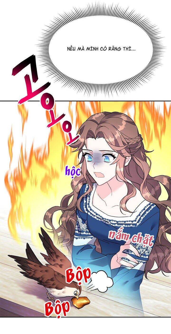 Công Chúa Của Loài Chim Chapter 5 - 12